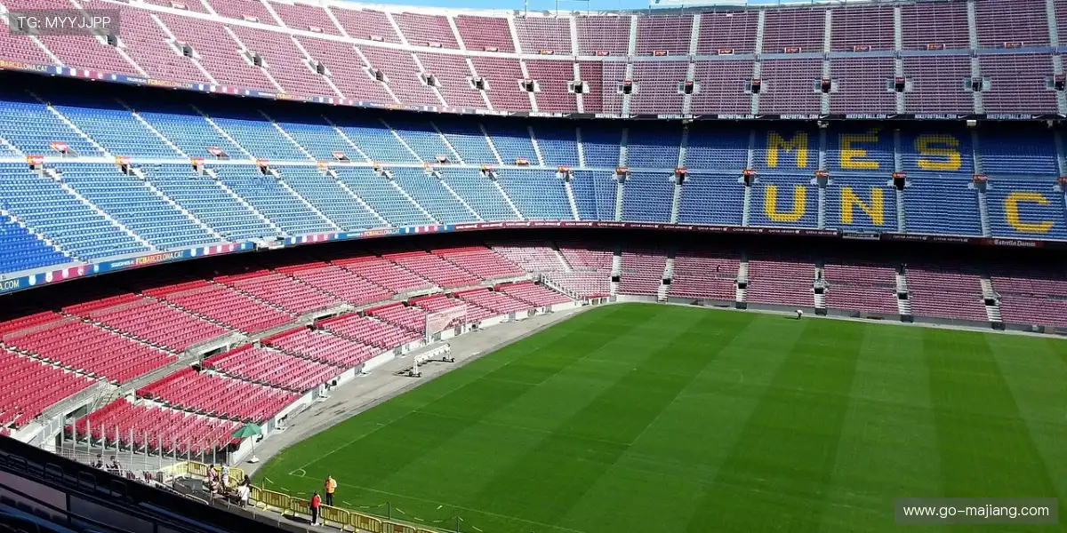 🏟️观众声浪如潮水一般席卷全场！⚡